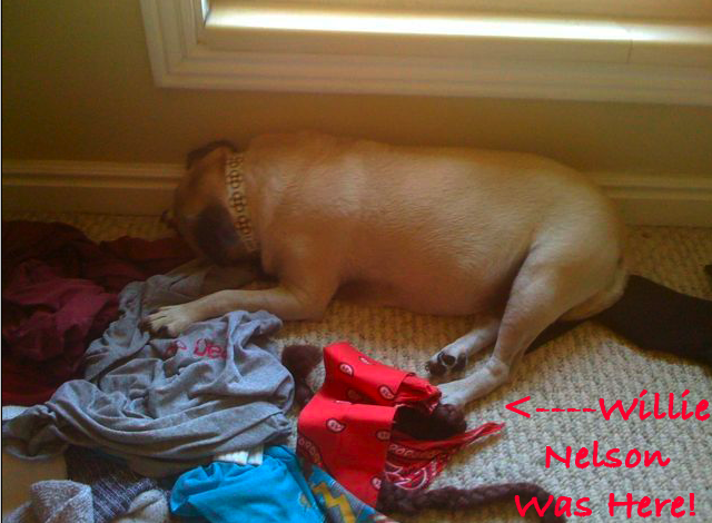 Willie Nelson Braids