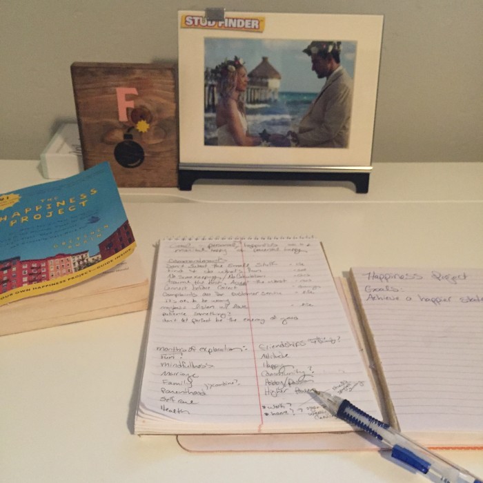 Happiness Project 2017